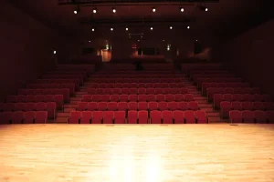 Théâtre d'improvisation